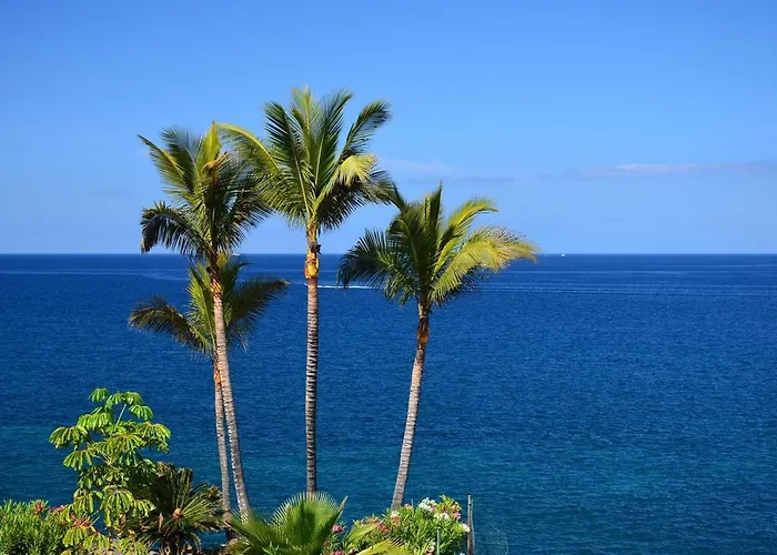 Relax Tropical Americas - Tenesol Apartment Playa de las Americas (Tenerife)